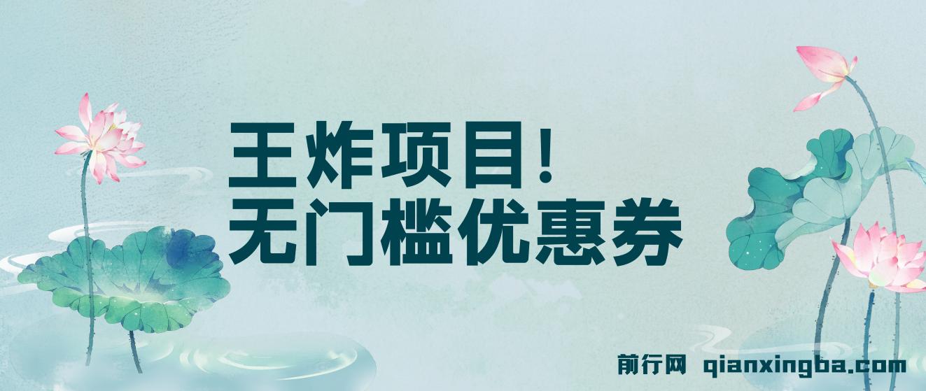 无门槛优惠券,王炸项目！单号日入300+，无需经验直接上手 图片