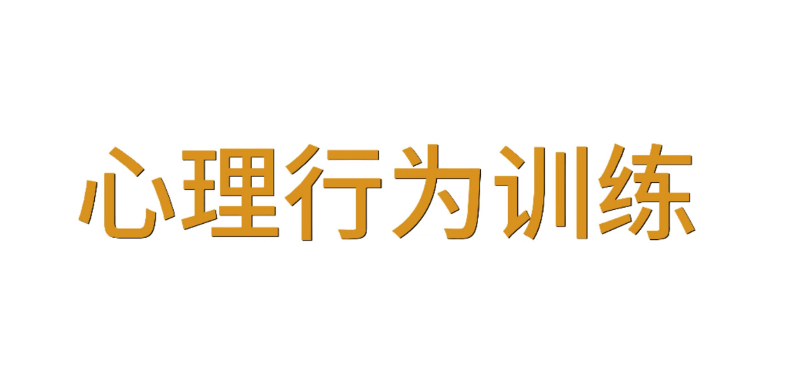 走向心智成熟的30个实用心理训练
