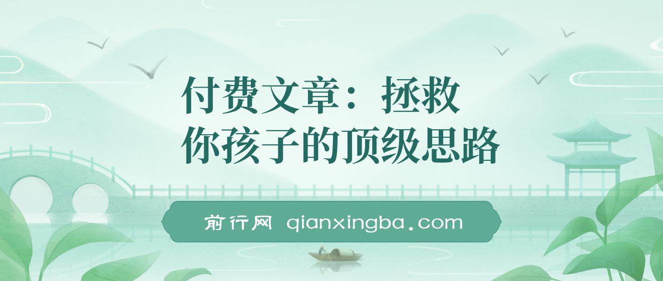 付费文章：拯救你孩子的顶级思路，彻底聊透他的学业、事业、未来，含金量满满 图片