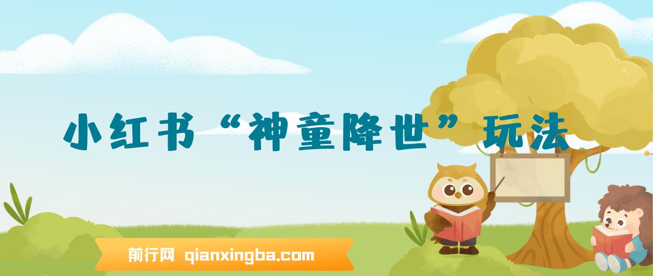 小红书“神童降世”玩法,暴力起号,私域打造聚宝盆,弯道超车 实现年入几十万