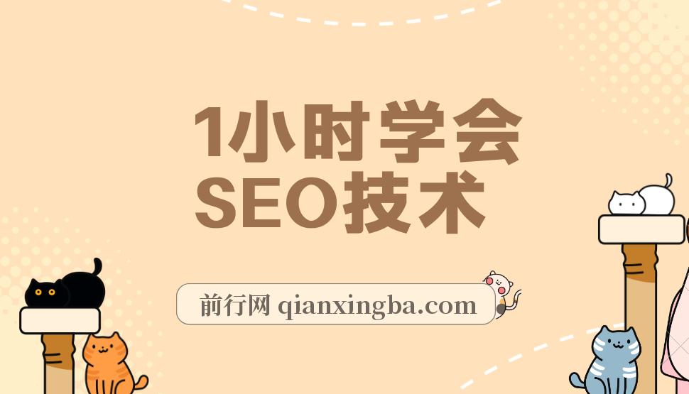 1小时学会SEO技术 网站排名优化实战高级教程-秒杀市面95%收费几千的SEO教程 