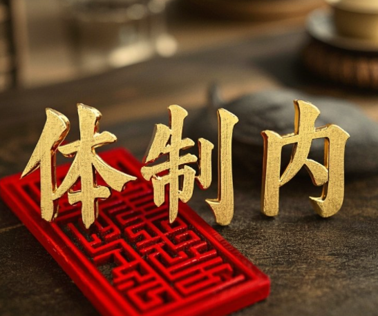 《体制内生存教科书》：一本破解单位潜规则的实战指南