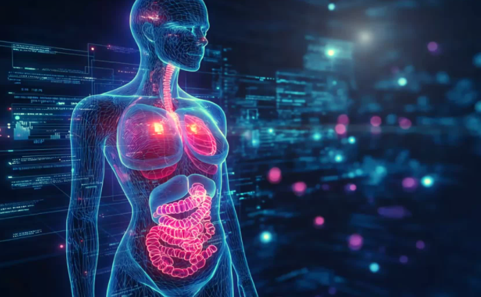 付费购买视频素材！医疗3D高清动画素材