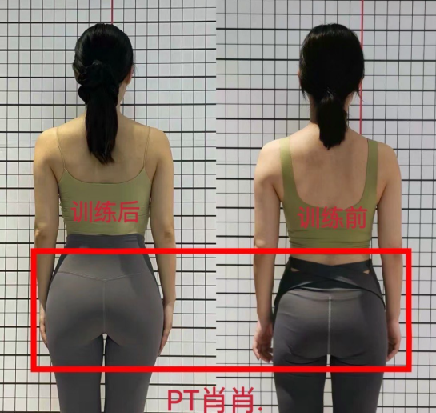 11天腰臀腿塑形课 健身减肥塑形 图片