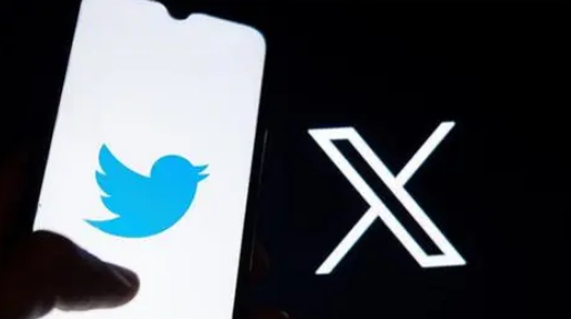 Twitter 视频下载工具-TwitterXZ 图片