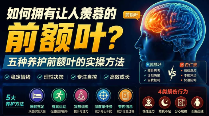 付费文章：如何拥有让人羡慕的前额叶？五种养护前额叶的实操方法