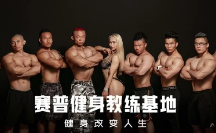 赛普健身专业视频教程