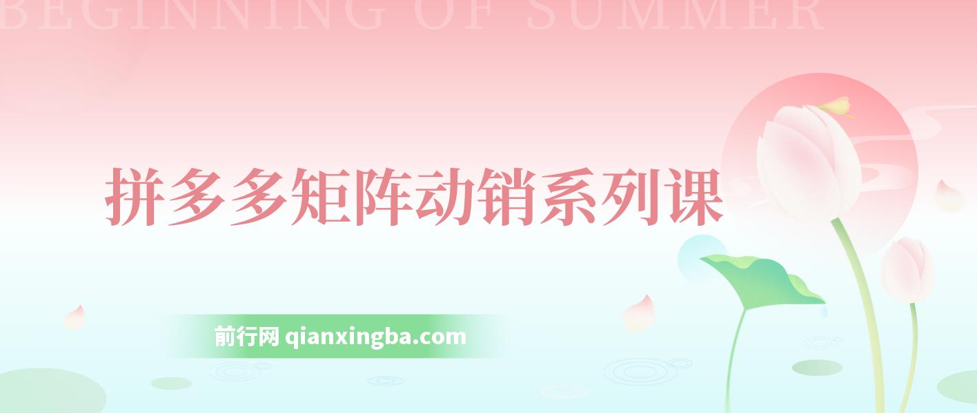 拼多多店铺矩阵玩法：低客单自然流矩阵 / 轻付费矩阵 动销 / 核心权重提升