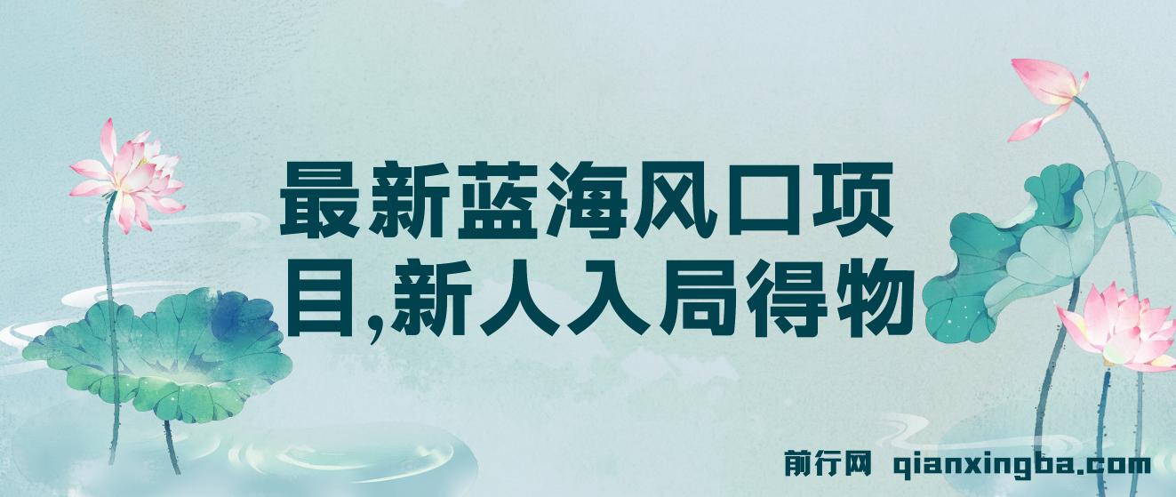 最新蓝海风口项目，新人入局得物，每天两小时，单账号一个月变现破万 图片