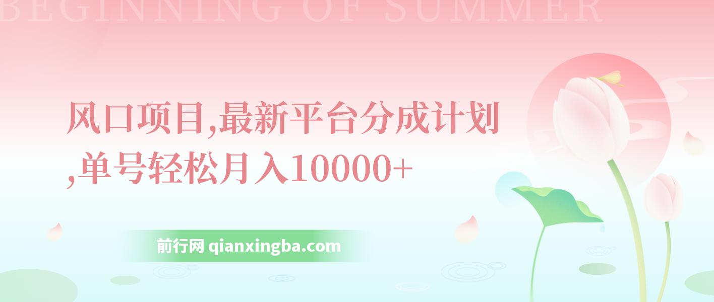 最新平台分成计划，风口项目，单号月入10000+ 图片