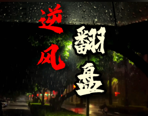 《人生翻盘运用手册》：在关键节点做出正确决策