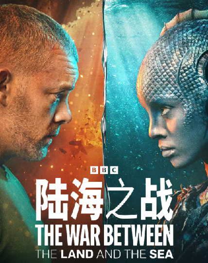 《陆海之战(2025)》影片《神秘博士》衍生剧