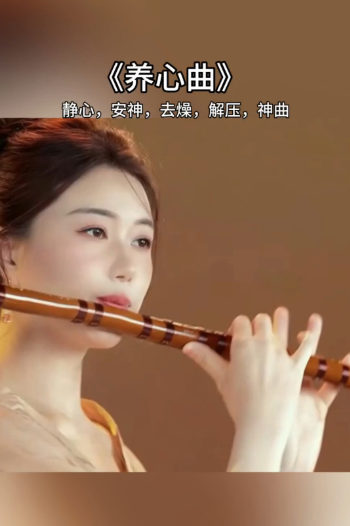 养心曲+五行养生曲